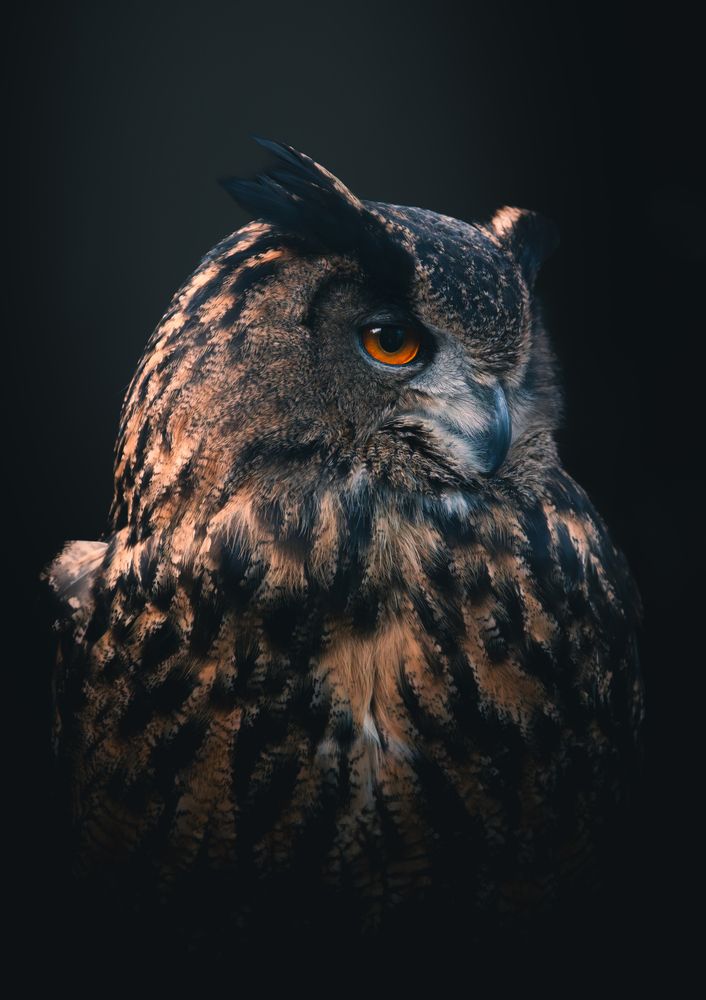 Photograph by Michał Szymczak