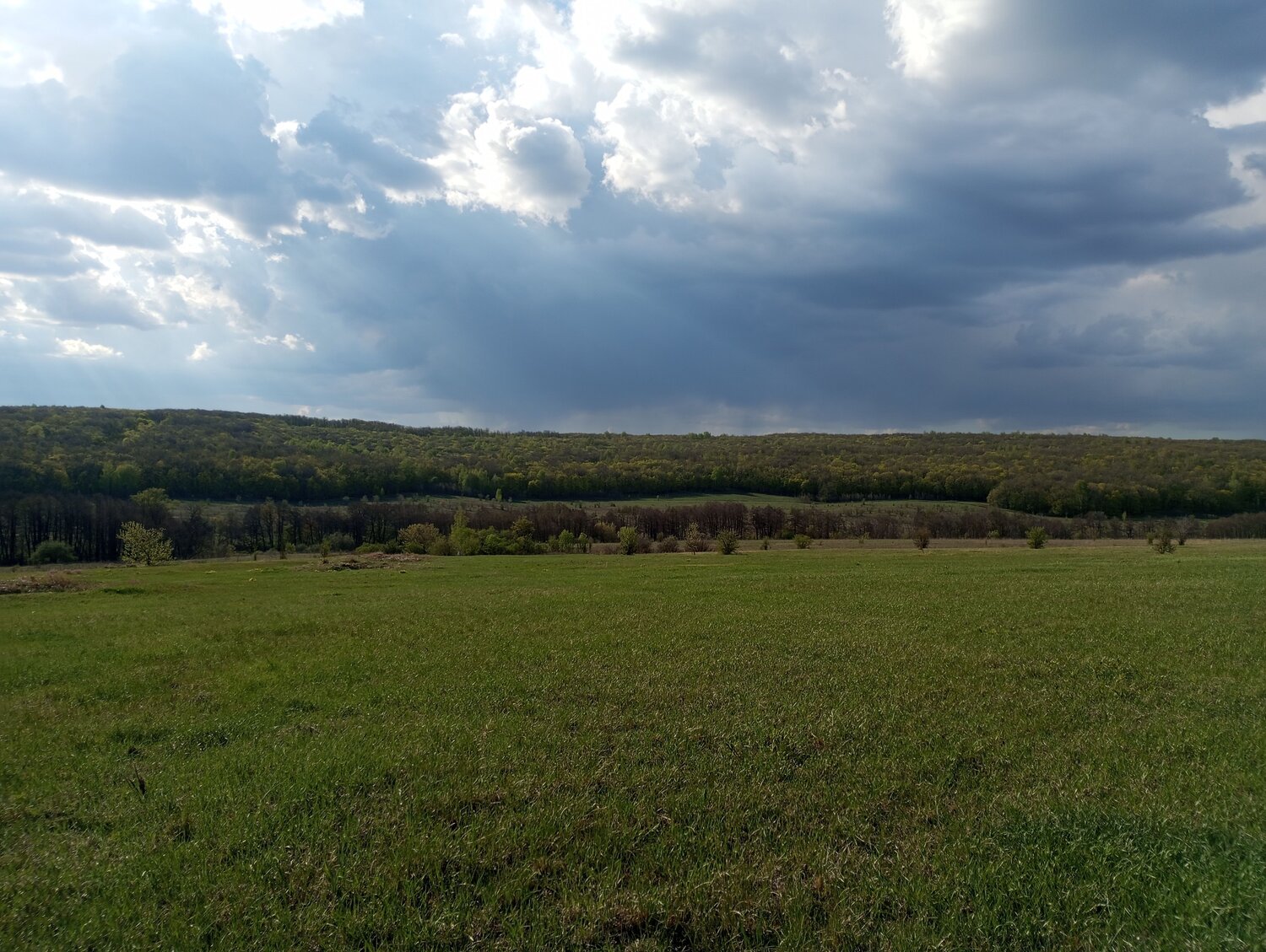 Photo #12267419