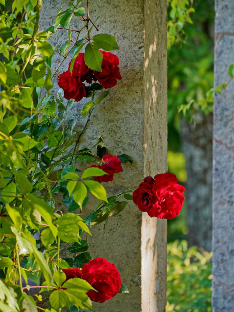 Photograph by Андрей Панин