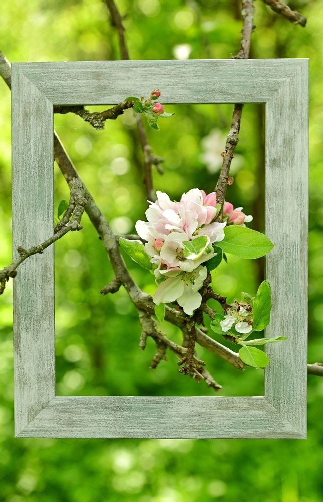 Photograph by Владимир Леликов-Кузьменко