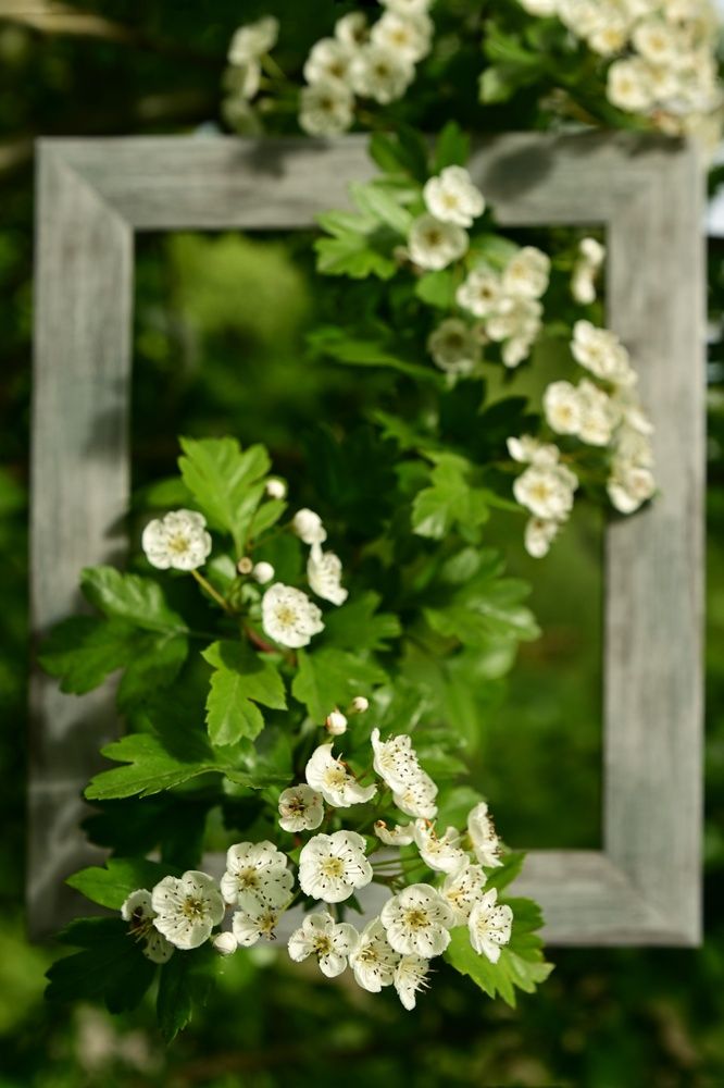 Photograph by Владимир Леликов-Кузьменко