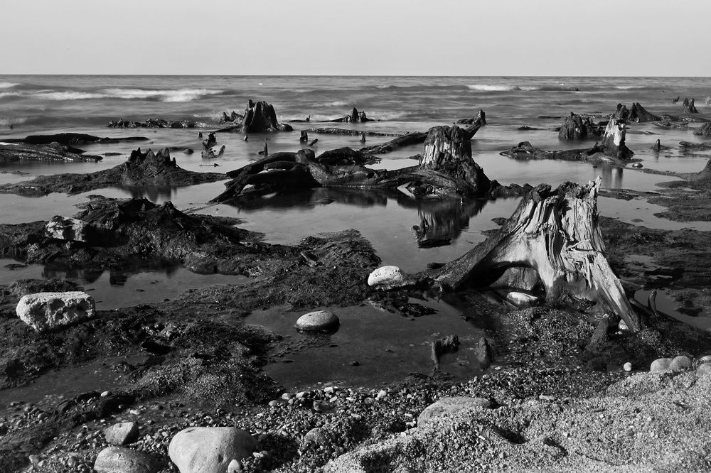 Photograph by Владимир Леликов-Кузьменко