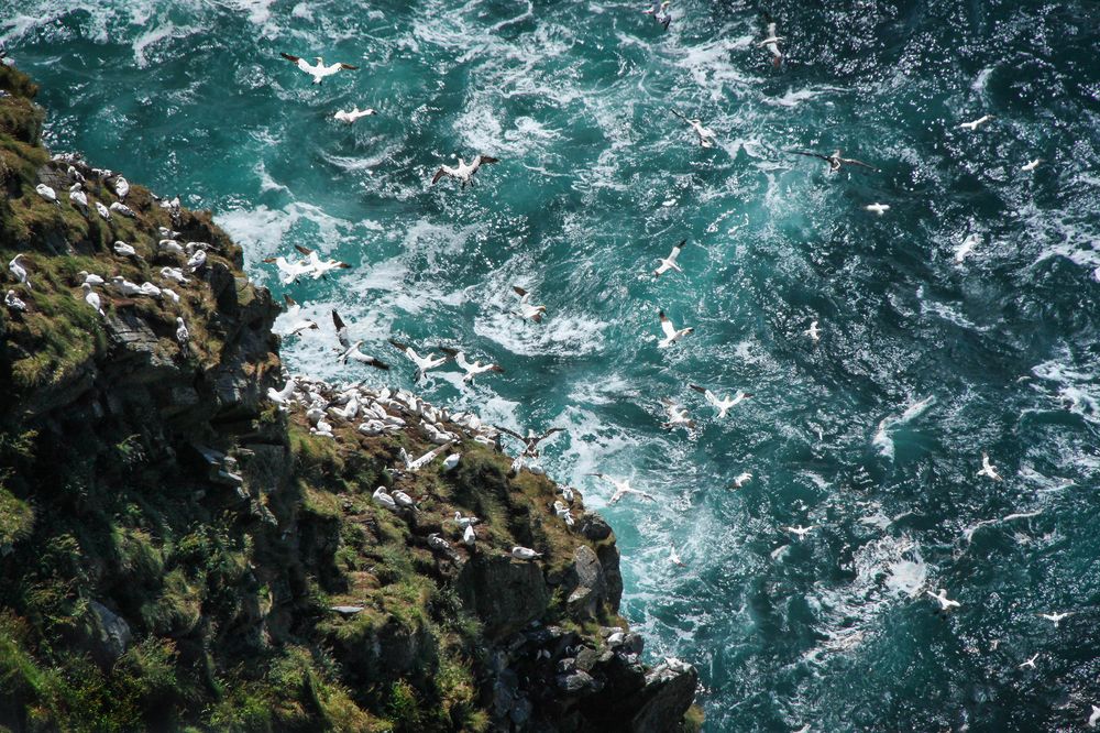 Photograph by Вячеслав Лычков