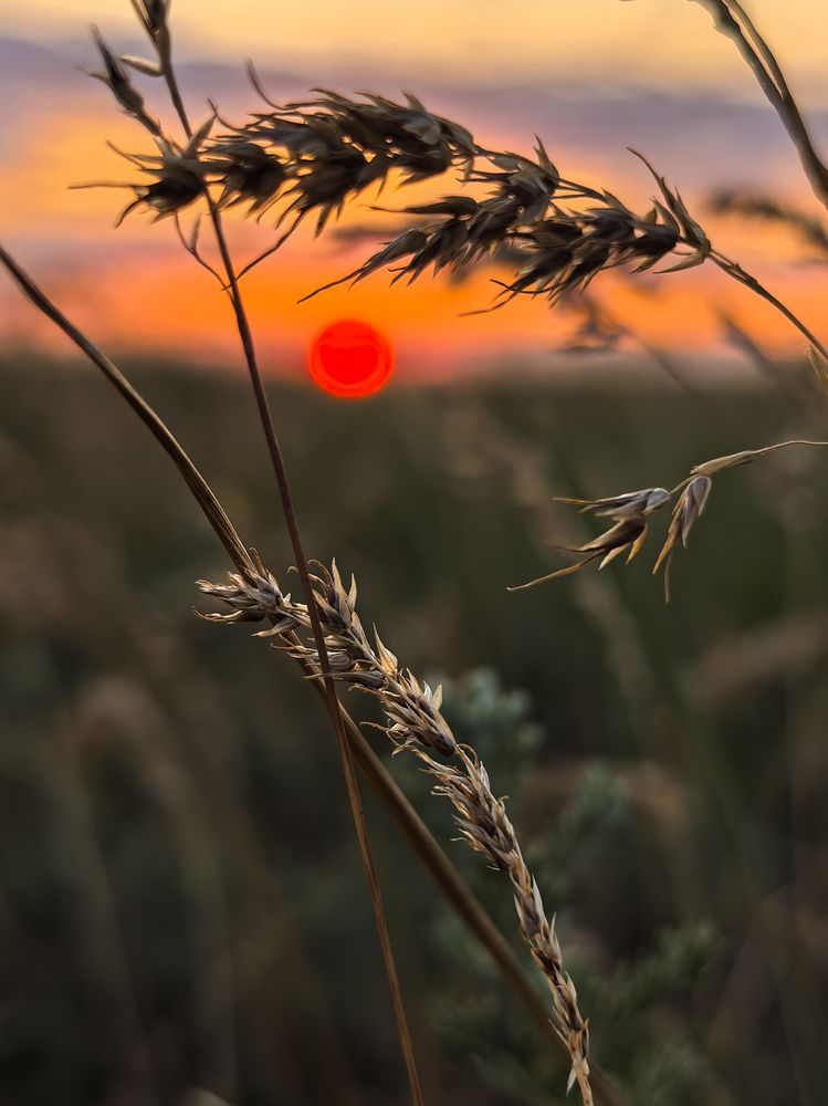 Photograph by Анна Каримуллина