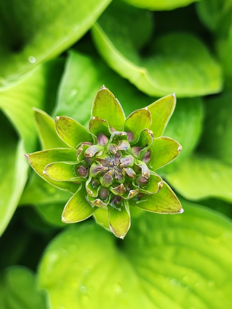 Photograph by Елена Шоколенко