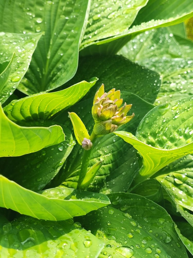 Photograph by Елена Шоколенко