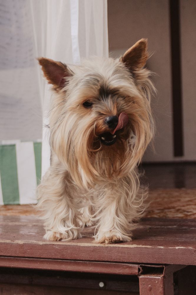 Photograph by Евгения Бородина