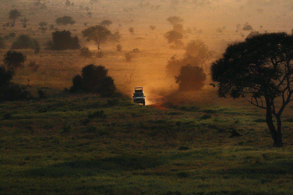 Photograph by Szymon Brola