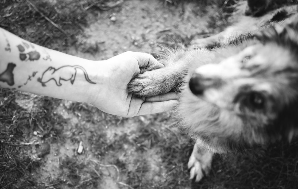 Photograph by Monika