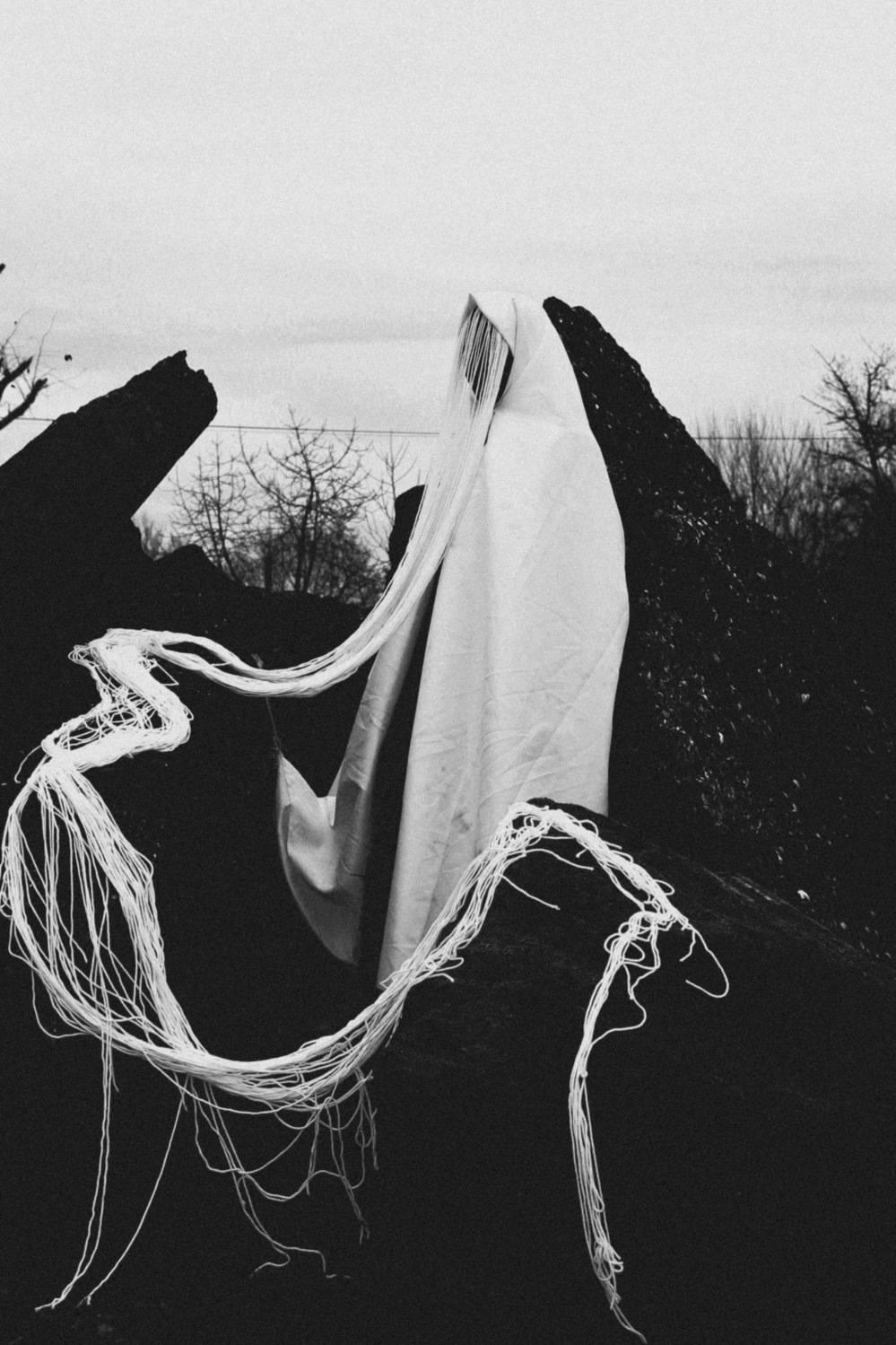 Photo #12267949