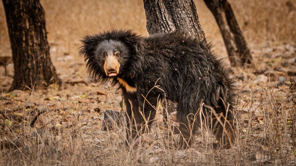 Photograph by Chaitanya Panday