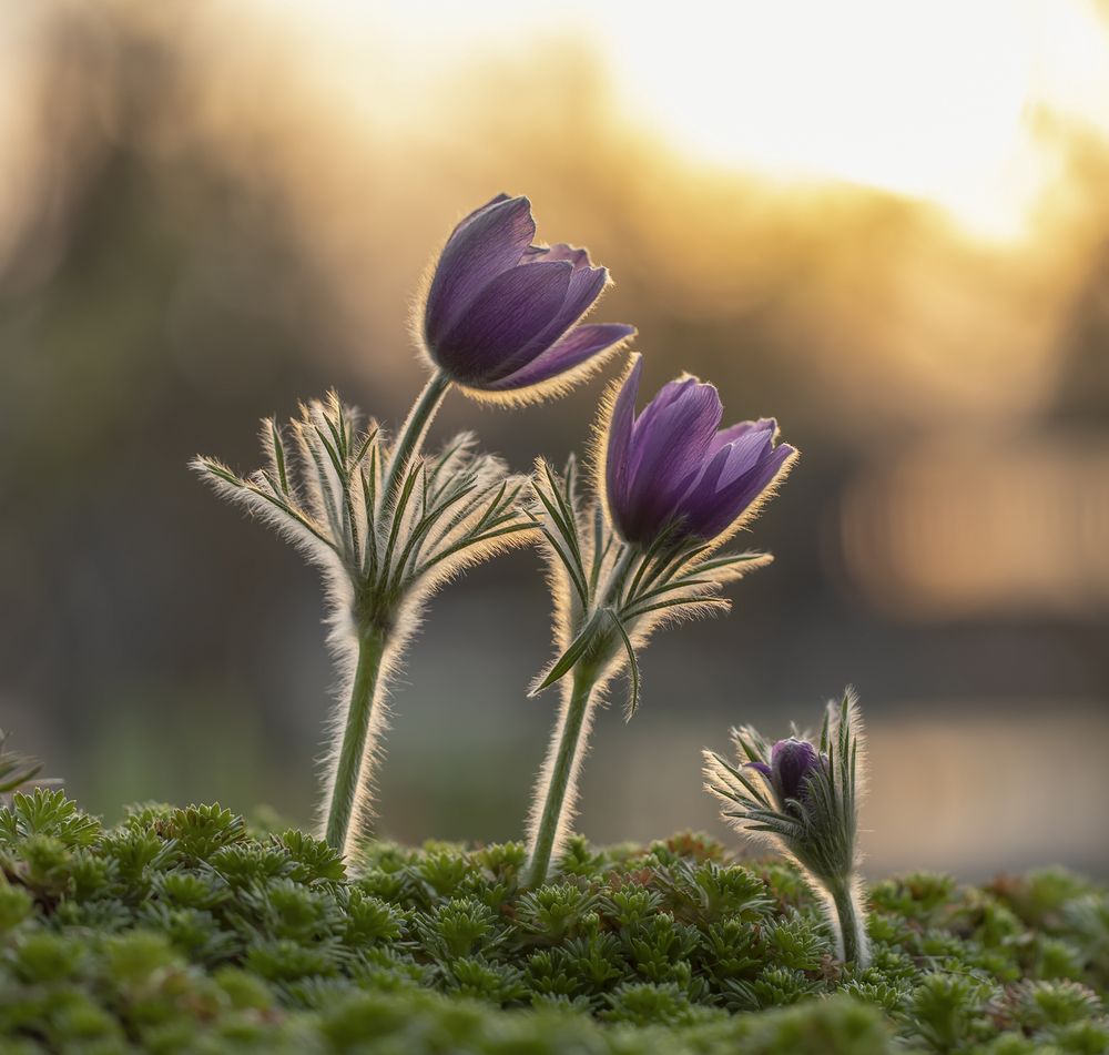 Photograph by Татьяна Феденкова