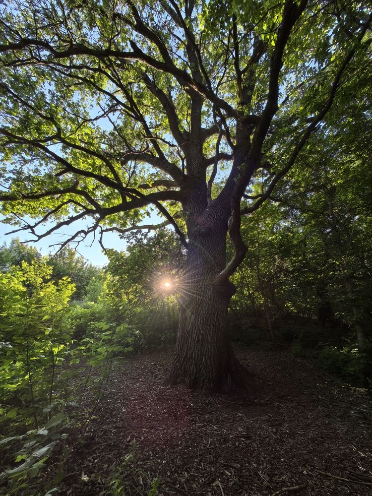 Photograph by Анна Каримуллина