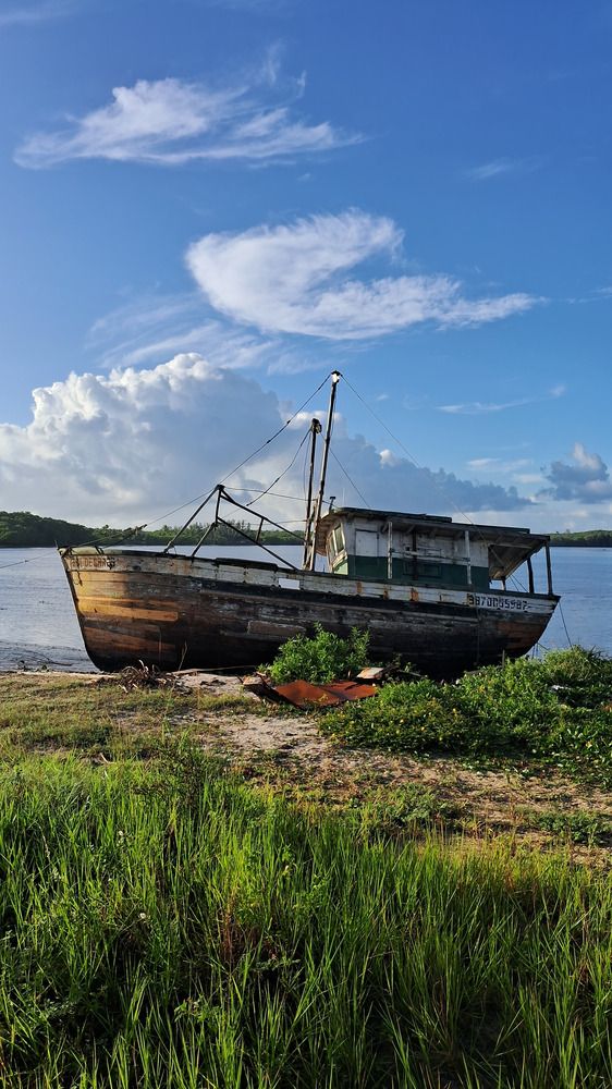 Barco para restauração