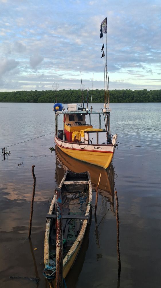 Barco pesqueiro