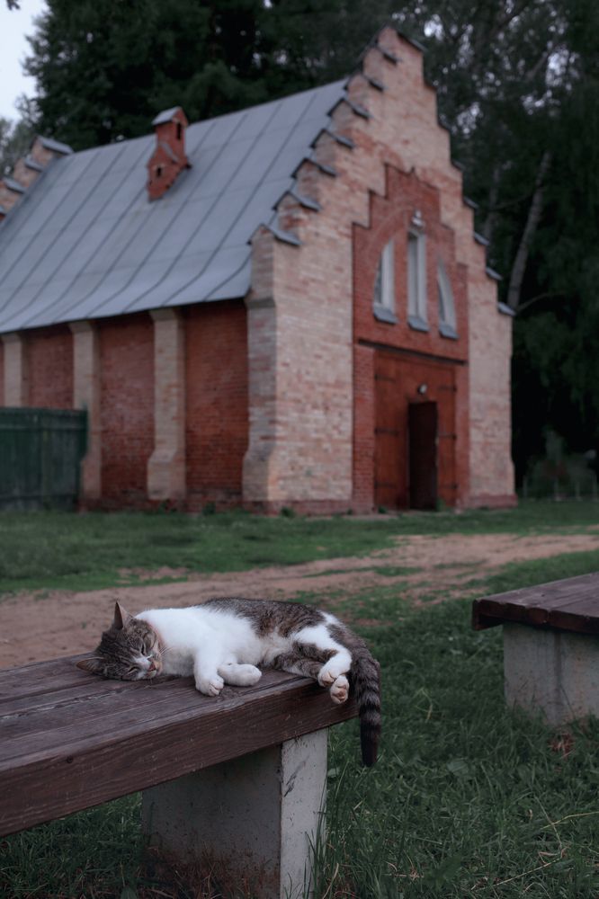 Photograph by Яна Волкова