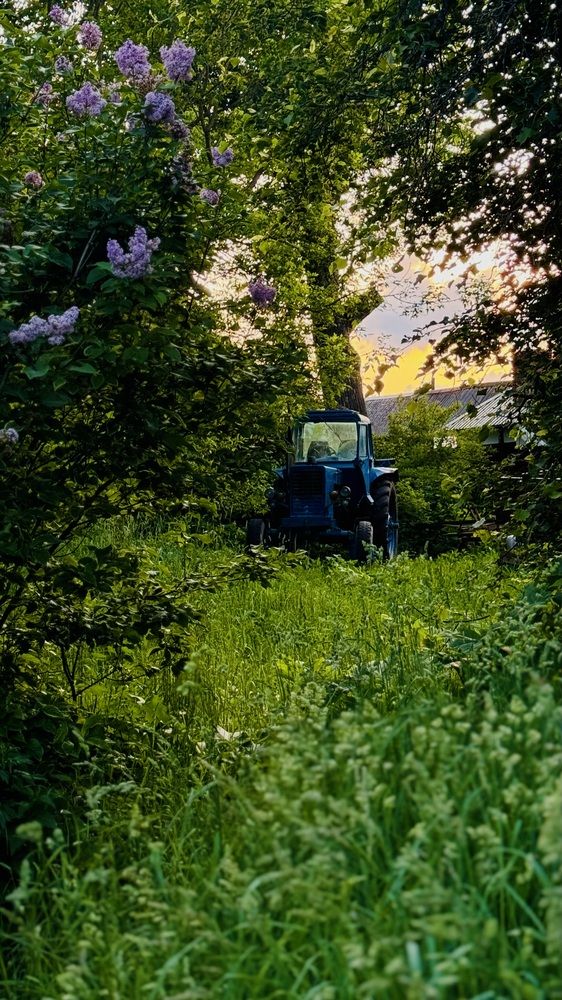 Photograph by Светлана Родионова