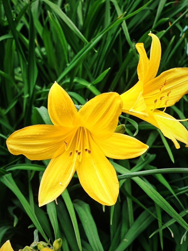 Photograph by Olena Chertous