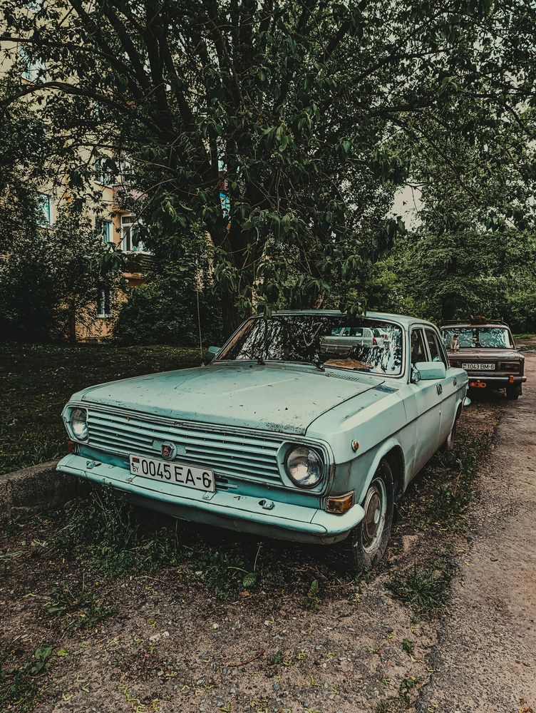 Photograph by Светлана Таркан