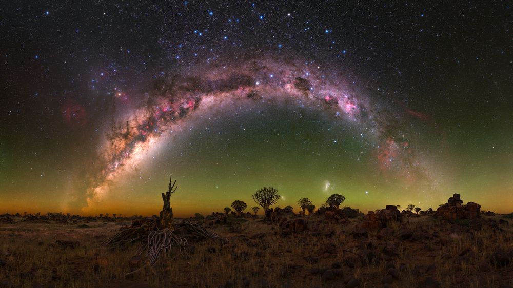 In an Alien World