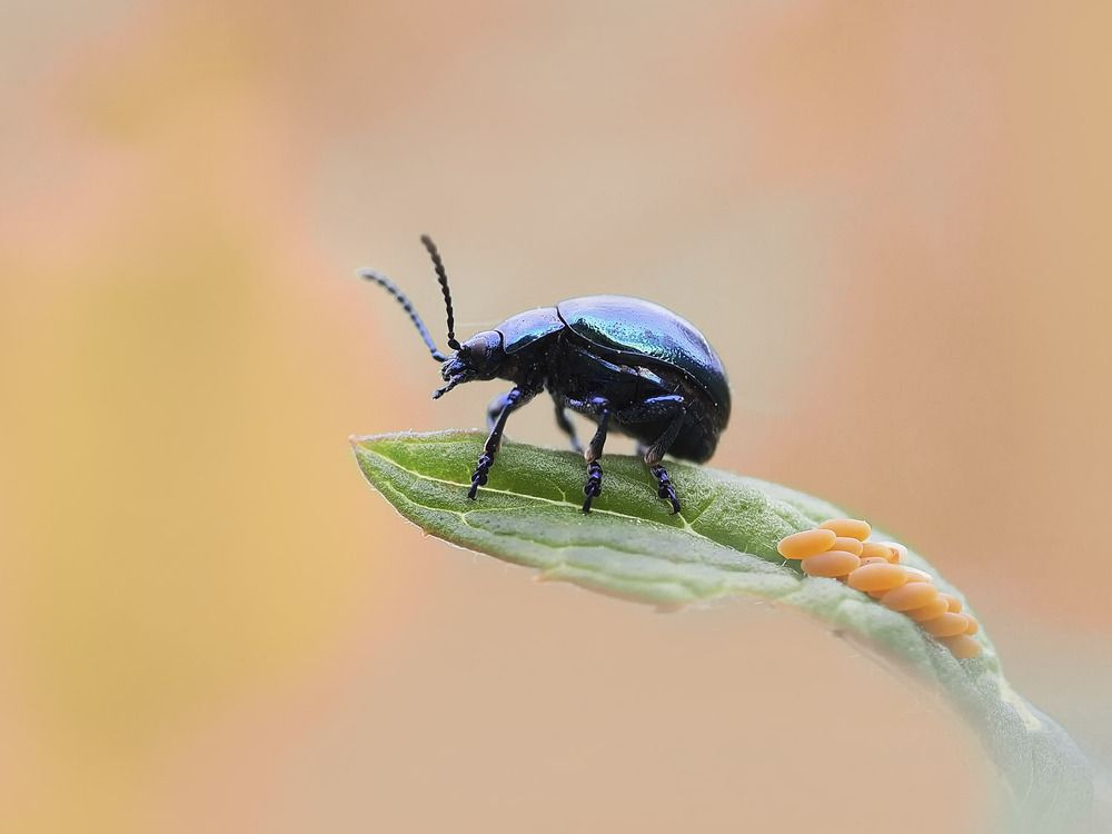 Photograph by Лукашук Евгений