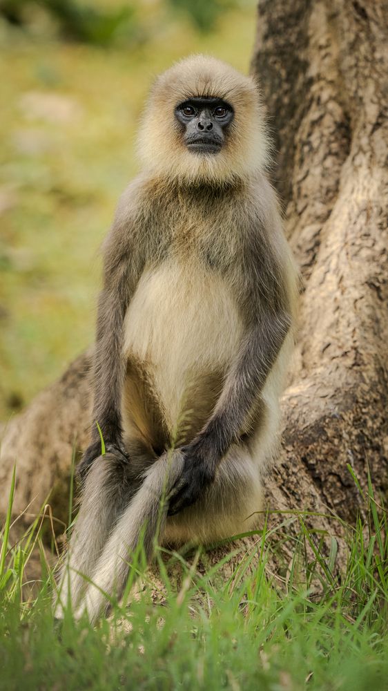 Photograph by Chaitanya Panday