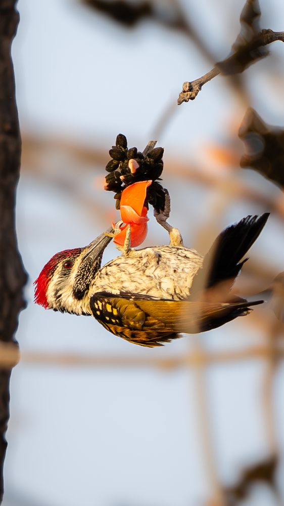 Photograph by Chaitanya Panday