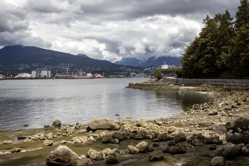 Photograph by Anastasiya Arkin