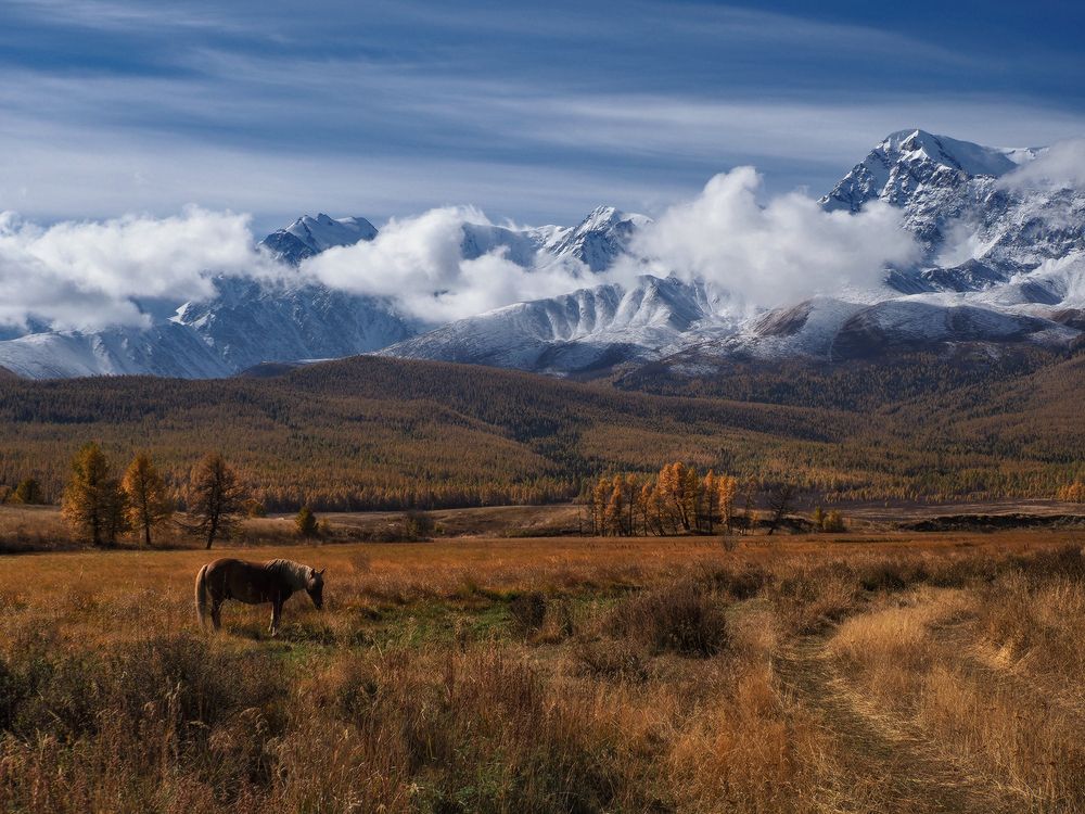 Photograph by Галина Хвостенко
