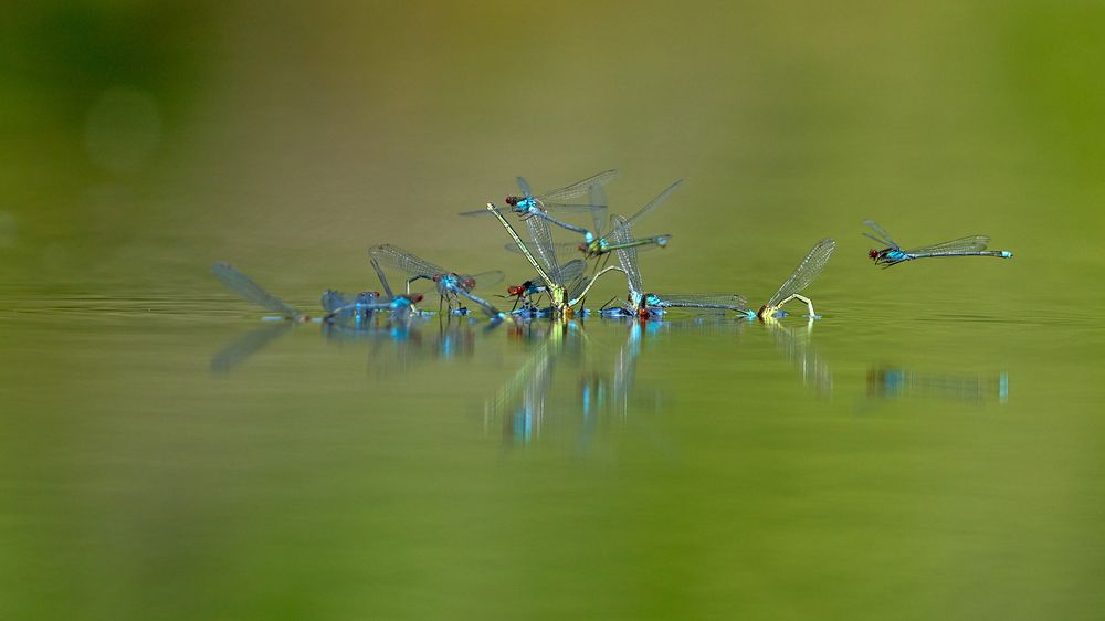 Photograph by Валерий Змачинский