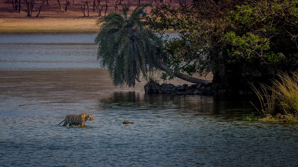 Photograph by Chaitanya Panday