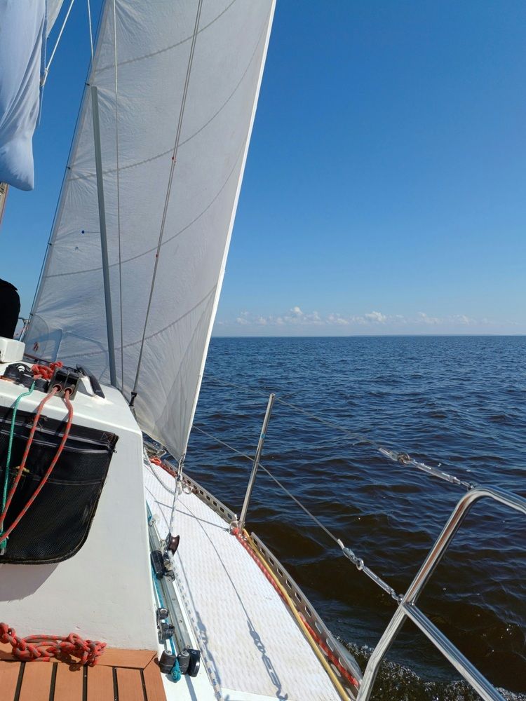 Photo #12269129