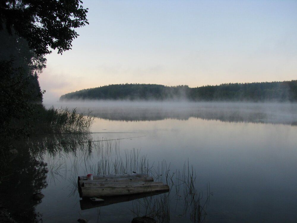 Photograph by Алла Узкая