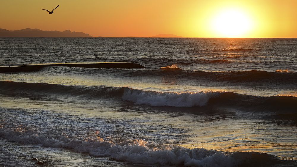 Photograph by Алексей Парамонов