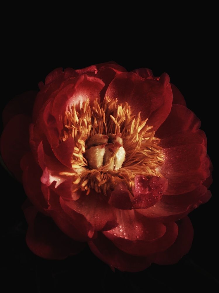 Photograph by Олеся Хижко