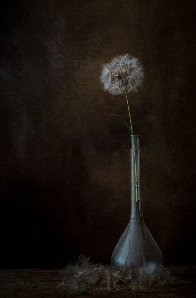 Одиночество...