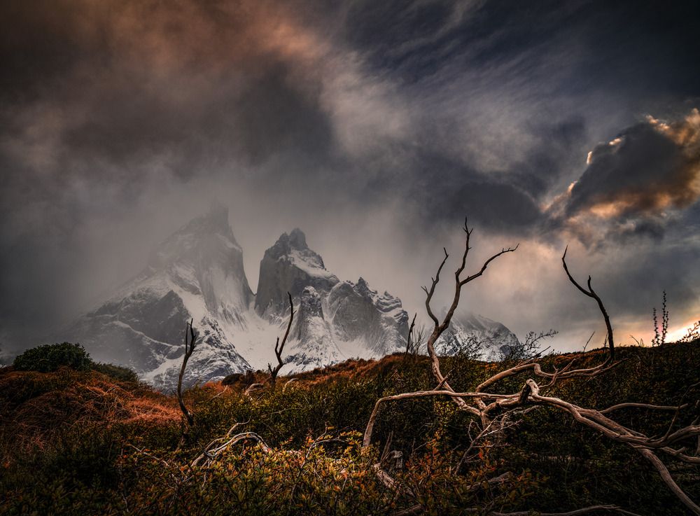 Фотография автора Eduardo Modolo