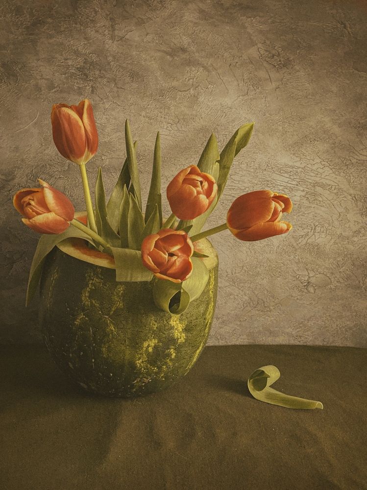 Фотография автора Евгения Никишина