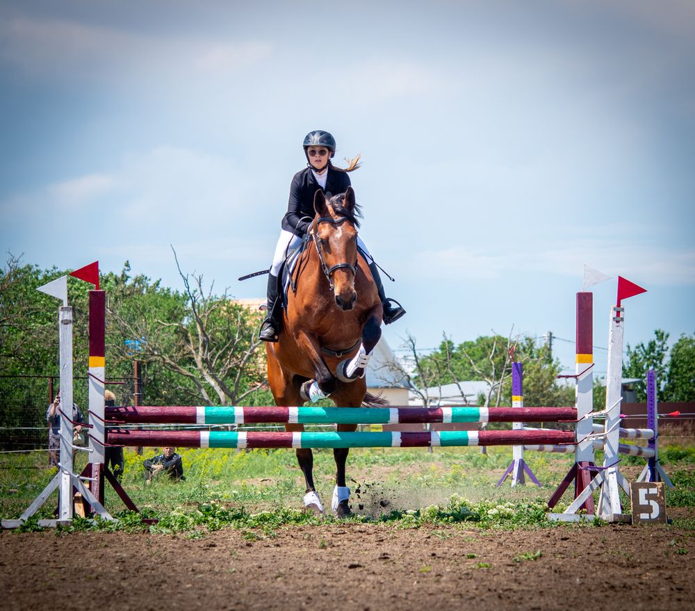 Фотография автора Надежда Ковалёва