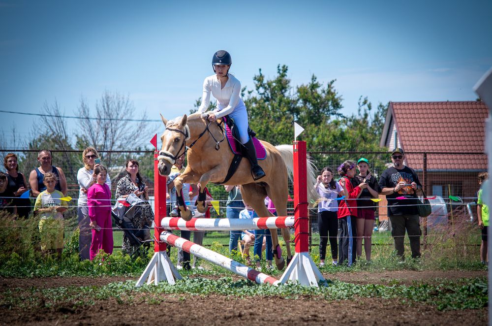 Фотография автора Надежда Ковалёва