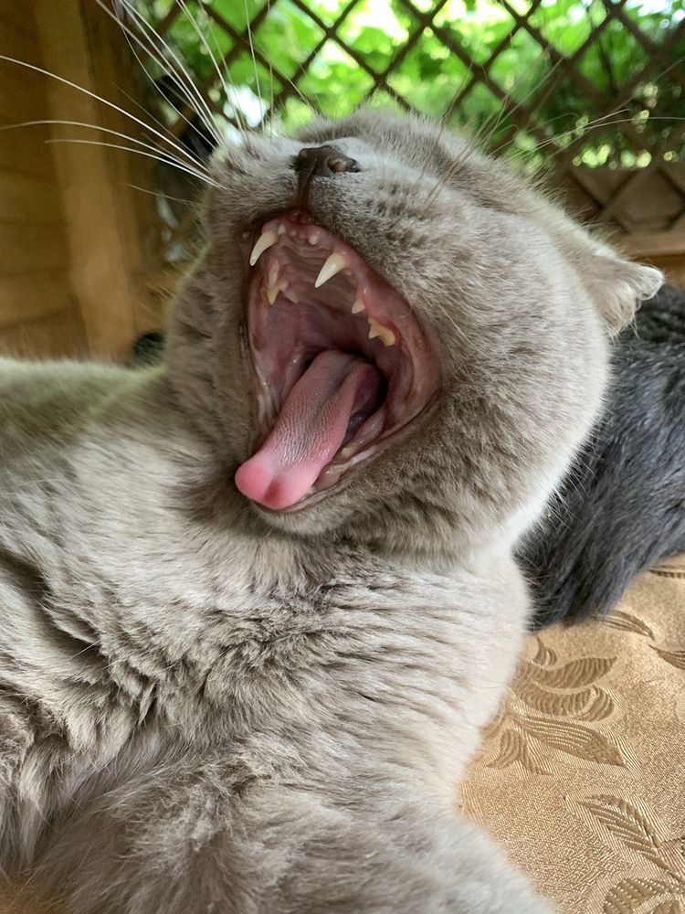 Photograph by Борис Соколов