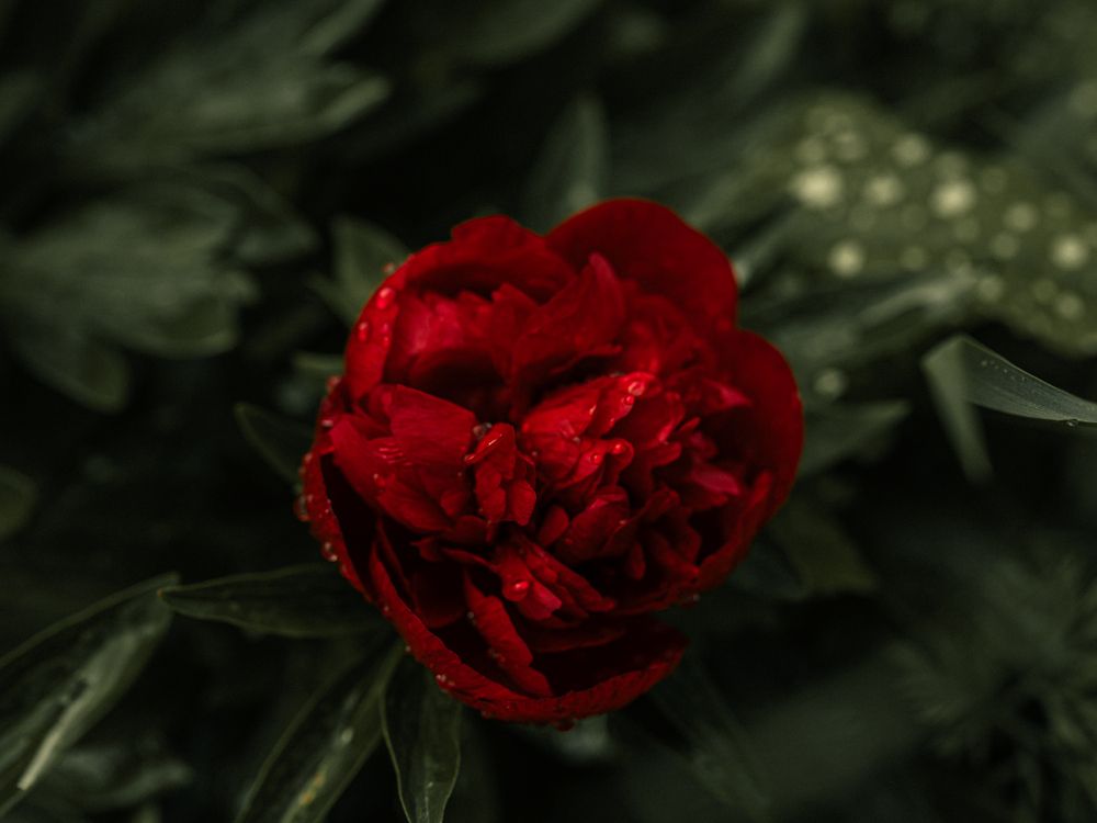 Photograph by Людмила