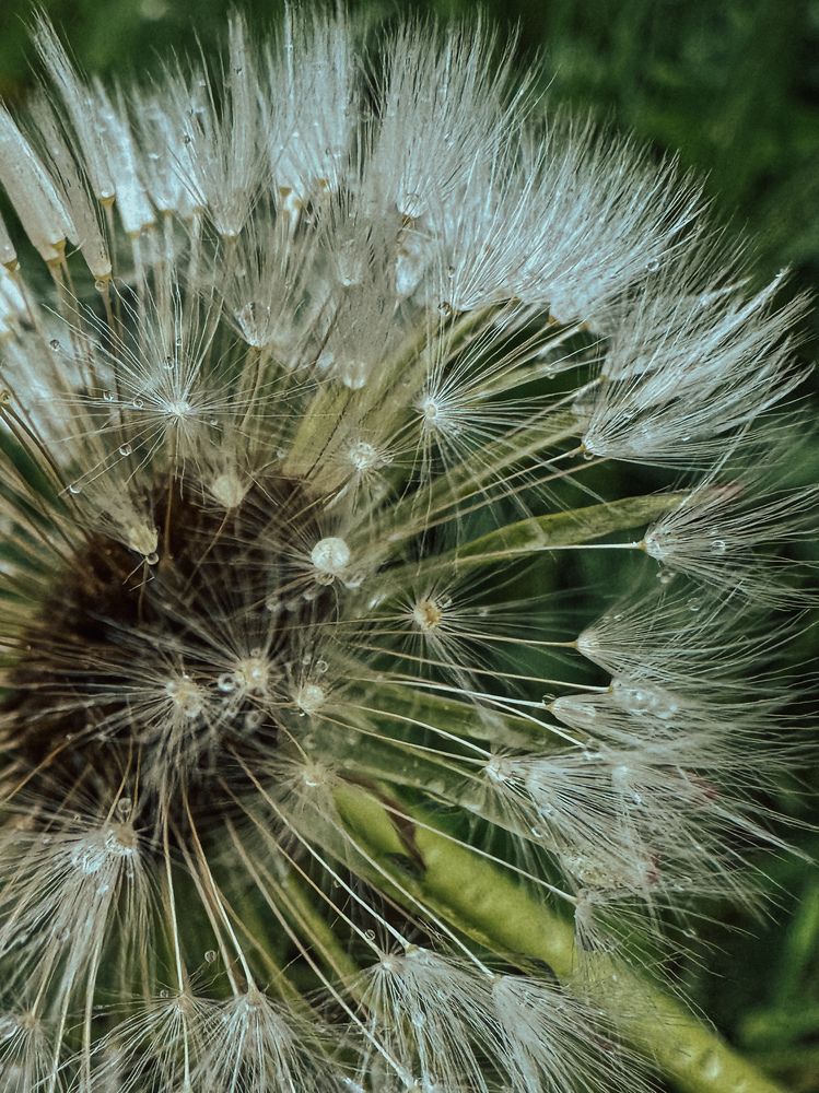 Photograph by Александра Кишикова