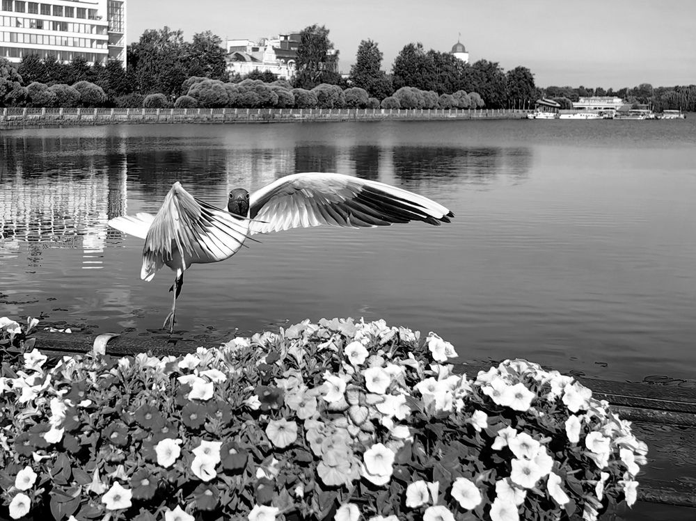 Photograph by Владислав Карасев