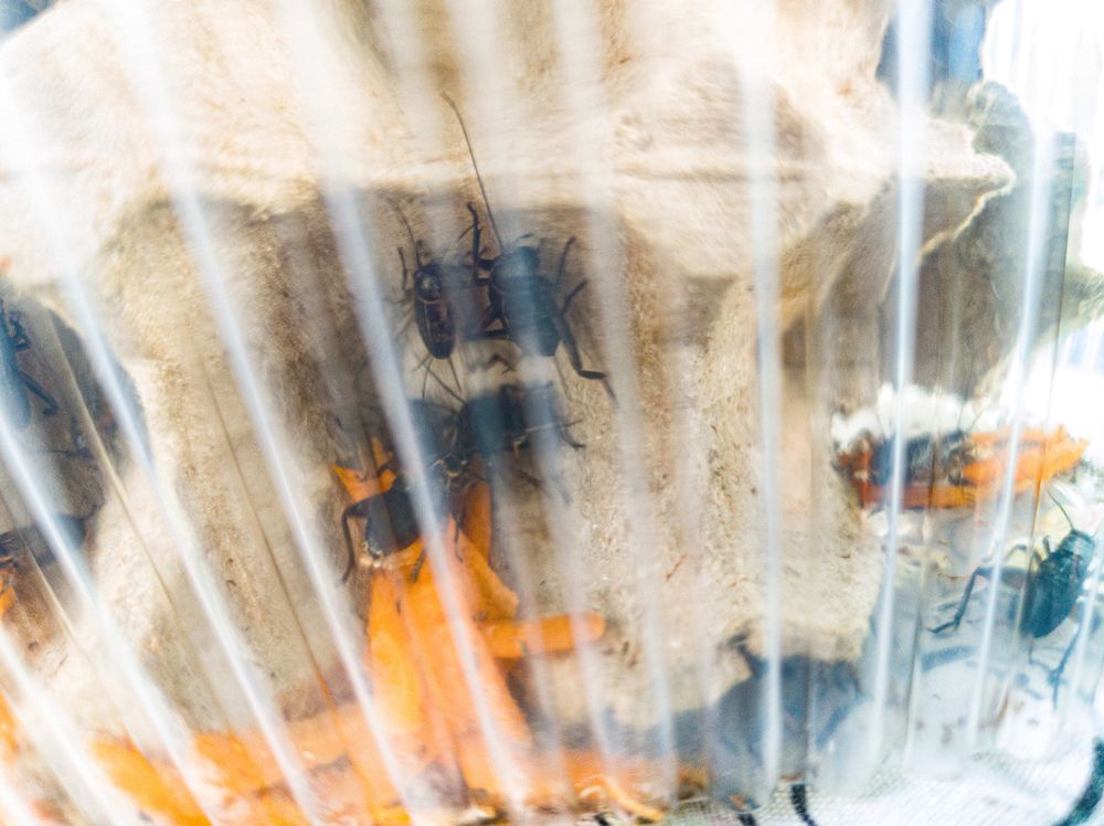 Фотография автора Татьяна Мишкина