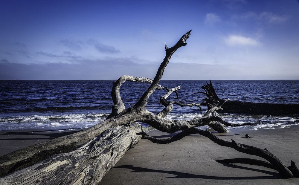 Фотография автора Ray Asiala