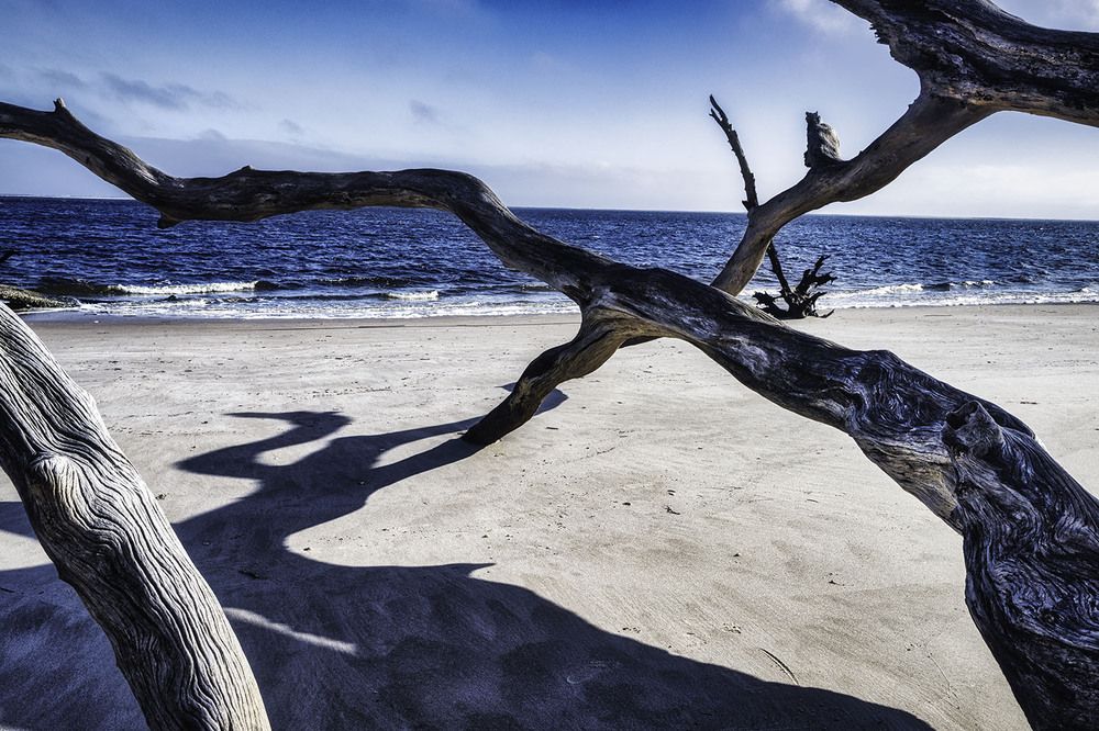 Фотография автора Ray Asiala