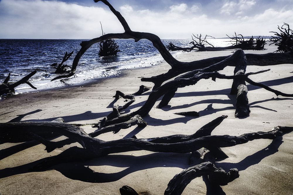 Photograph by Ray Asiala