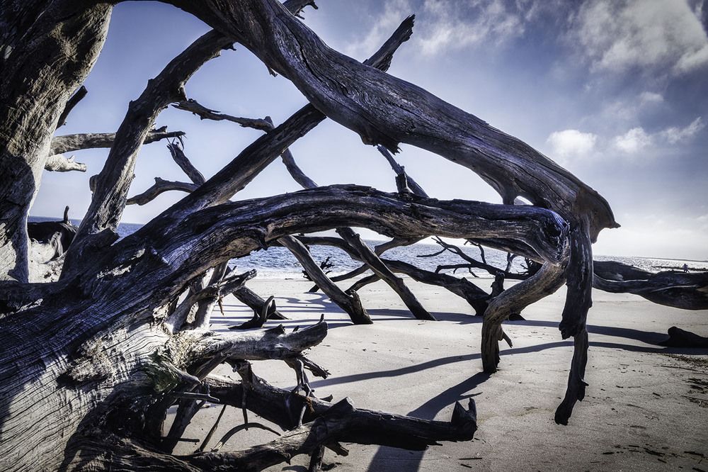 Фотография автора Ray Asiala