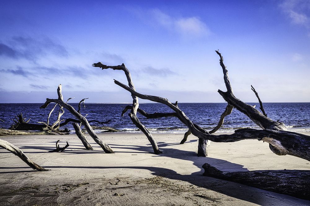 Фотография автора Ray Asiala